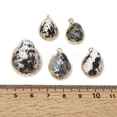 Brass & Natural Shell Pendants SH-CBA27C9-05-1