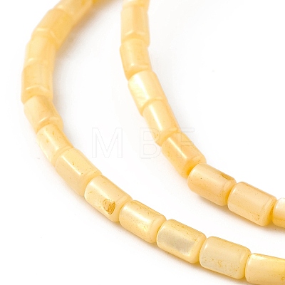 Natural Freshwater Shell Dyed Beads Strands X-SHEL-M018-12-01-1