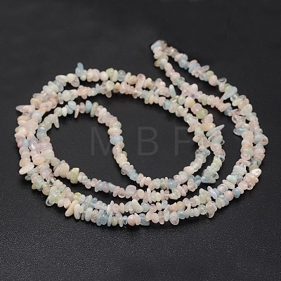 Chips Natural Colorful Morganite Beads Strands G-N0164-59-1