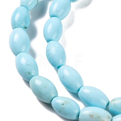 Natural Howlite Beads Strands G-H025-02A-1