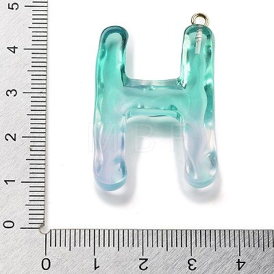 Resin Pendant FIND-Q107-01H-02-1