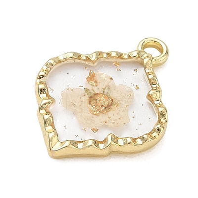 Alloy Epoxy Resin Pendants AL-Z001-08G-03-1