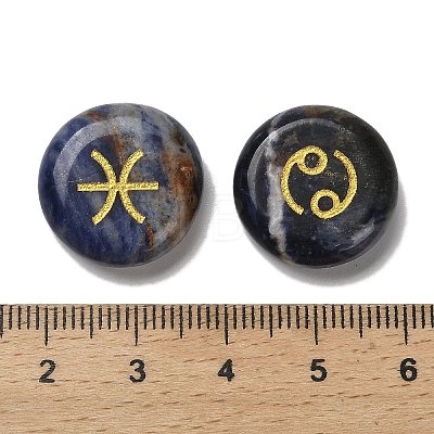 12 Constellation Natural Blue Spot Jasper Cabochons Set G-Q190-03B-1