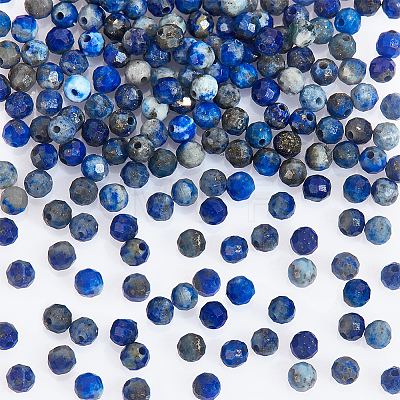  2 Strands Natural Lapis Lazuli Beads Strands G-NB0004-64-1