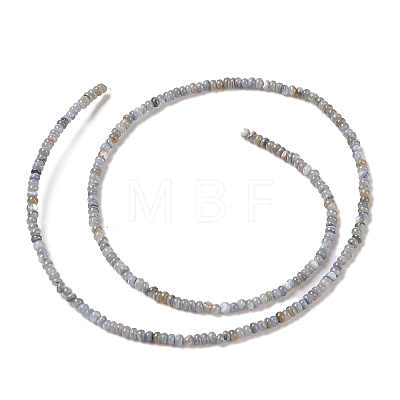 Natural Freshwater Shell Beads Strands X-SHEL-P017-01A-13-1