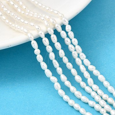 Natural Cultured Freshwater Pearl Beads Strands PEAR-I007-01L-04-1