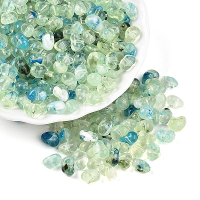 Transparent Acrylic Beads TACR-T028-42A-1