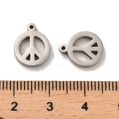 304 Stainless Steel Charms STAS-L022-137P-1