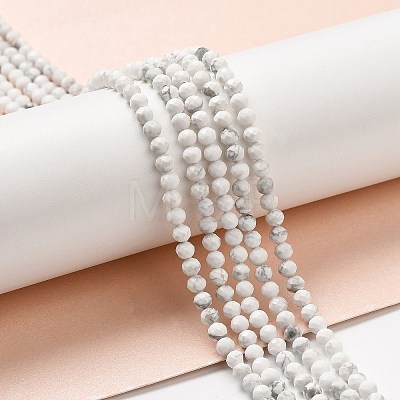 Natural Howlite Beads Strands G-E608-A01-B-1