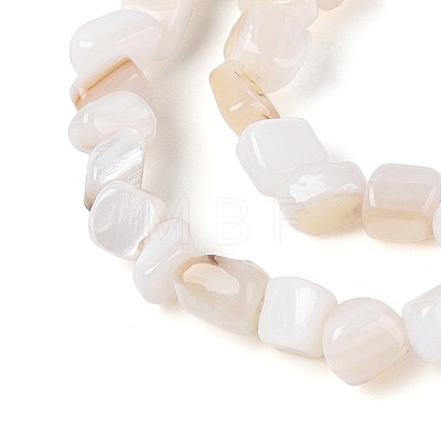 Natural Freshwater Shell Beads Strands SHEL-N037-04K-1