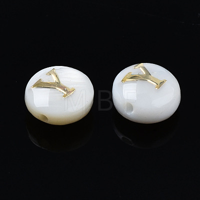 Natural Freshwater Shell Beads SHEL-S278-036Y-1