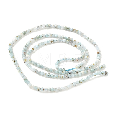 Natural Larimar Beads Strands G-L627-A01-2mm-1