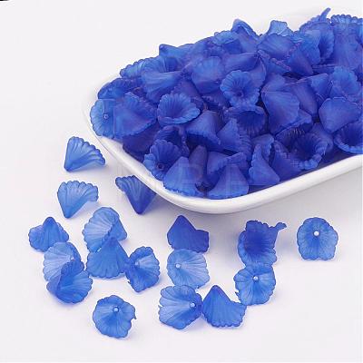 Transparent Acrylic Beads PL622-C07-1