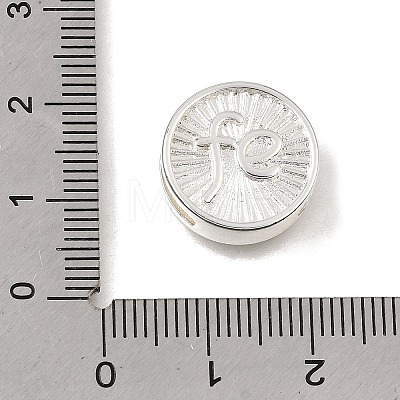 Brass Slide Charms KK-CBAEEA8-08A-S-1