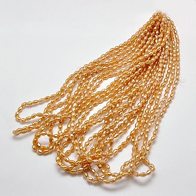 Electroplate Glass Beads Strands EGLA-J013-4X6mm-FM4-1