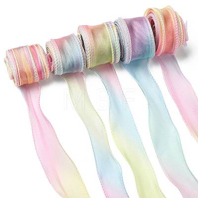 Polyester Organza Ribbon SRIB-FZC0001-001D-1