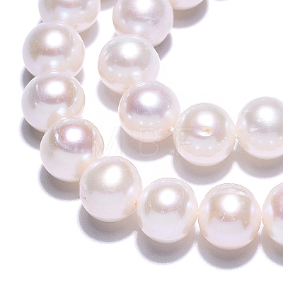 Natural Cultured Freshwater Pearl Beads Strands PEAR-N016-09C-1