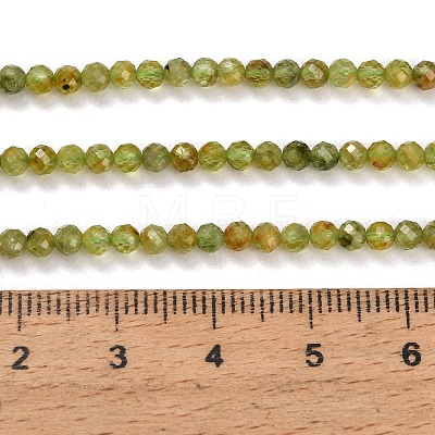 Natural Peridot Beads Strands GG-CBA753B-A04-3mm-1