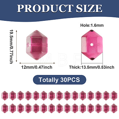 30Pcs Transparent Handmade Lampwork Beads LAMP-TADJ0001-12C-1