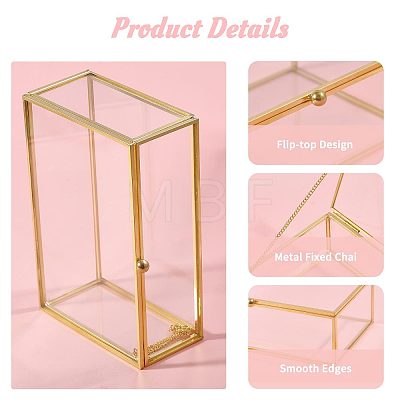 Transparent Glass Jewelry Organizer Display Cases with Metal Frame AJEW-WH0410-465B-1