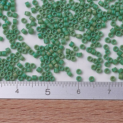 MIYUKI Delica Beads Small SEED-X0054-DBS0877-1