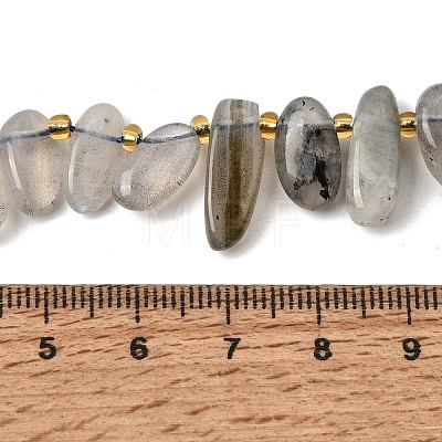 Natural Labradorite Beads Strands GG-CBADF20-A05-1
