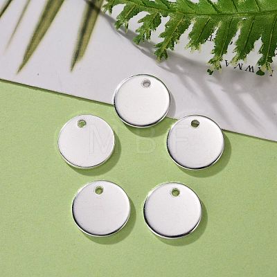 304 Stainless Steel Charms STAS-H436-66S-12mm-1
