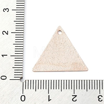 Geometric Alloy Sheet Printed Pendant Earrings Accessories PALLOY-E139-01G-05-1