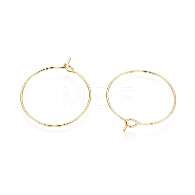 Ion Plating(IP) 316L Surgical Stainless Steel Hoop Earring Findings X-STAS-D164-02G-A-1