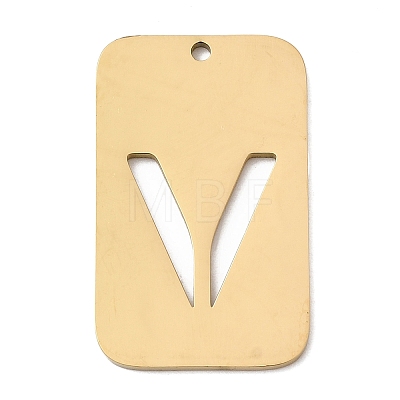 304 Stainless Steel Pendants STAS-D200-01V-G-1