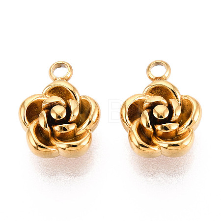 304 Stainless Steel Charms STAS-N112-11G-1