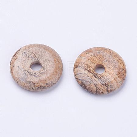 Natural Picture Jasper Pendants G-F524-B05-1