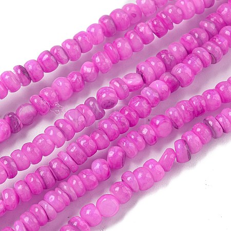 Dyed Natural Freshwater Shell Beads Strands BSHE-G039-07L-1