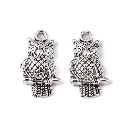 Tibetan Style Alloy Pendants X-LF10093Y-1