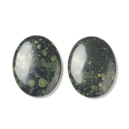 Natural Kambaba Jasper Worry Stone for Anxiety Therapy X-G-B036-01M-1