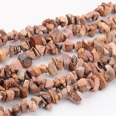 Natural Picture Jasper Chips Beads Strands F002-1