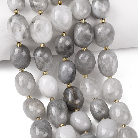 Natural Cloudy Quartz Beads Strands G-G453-D08-01-1