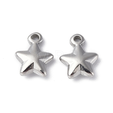 Non-Tarnish 304 Stainless Steel Charms X-STAS-C066-19P-1