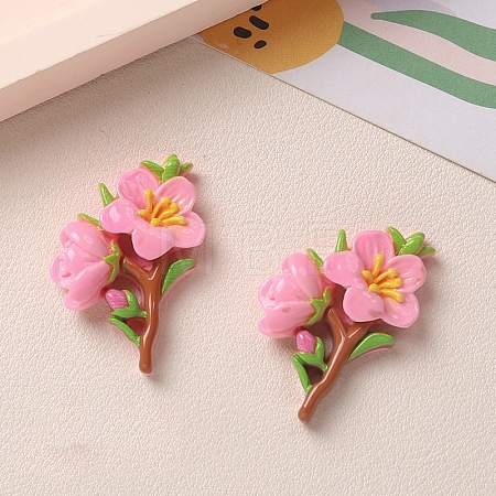 Opaque Resin Cabochons PW-WG2B15B-02-1
