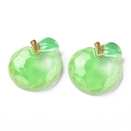 Resin Decoden Cabochons CRES-J046-03H-1