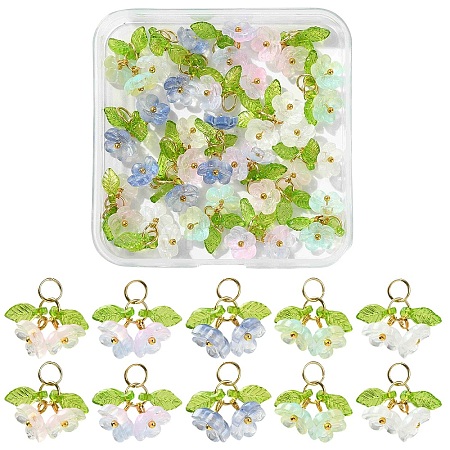 20Pcs 5 Colors Glass & Acrylic Pendants PALLOY-YW00224-1