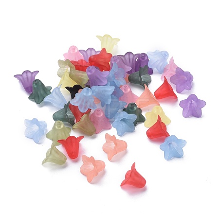 Mixed Color Transparent Acrylic Frosted Flower Beads X-PLF018-1