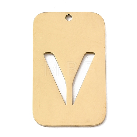 304 Stainless Steel Pendants STAS-D200-01V-G-1