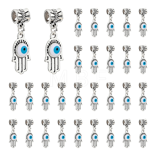 30Pcs Antique Silver Plated Alloy European Dangle Charms FIND-DC0002-93-1
