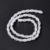 Natural White Agate Beads Strands G-C247-01A-3