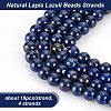 Olycraft Natural Lapis Lazuli Beads Strands G-OC0001-76-4