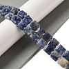 Natural Blue Spot Jasper Beads Strands G-L596-A07-01-2