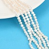 Natural Cultured Freshwater Pearl Beads Strands PEAR-P064-19B-04A-1