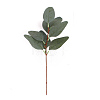 Plastic Artificial Eucalyptus Leaf PW-WGFCE17-06-1