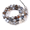 Dyed & Heated Natural Fire Crackle Agate Beads Strands G-N359-01A-03-3